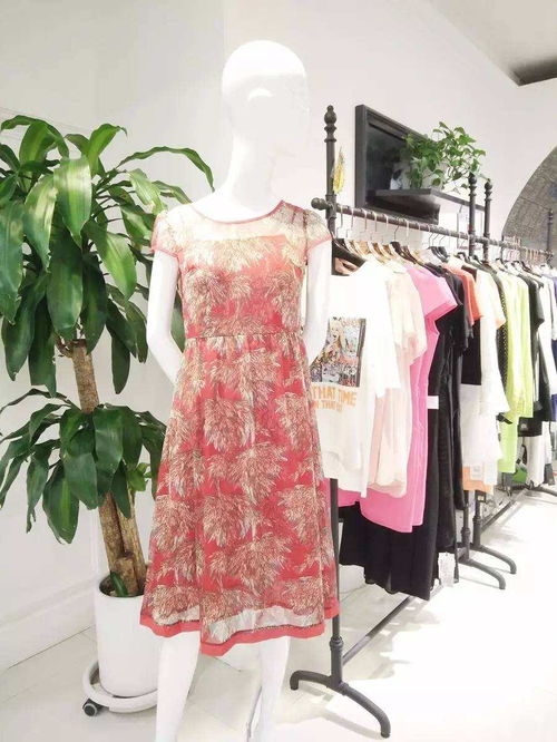 慧蘭女裝 優(yōu)雅風(fēng)尚，演繹東方女性的獨特魅力